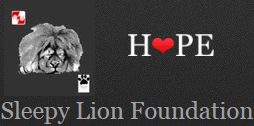 Sleepy Lion Logo